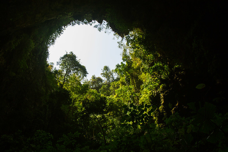 @Flickr Creative Commons