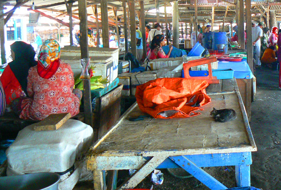 mclachlan2.jpg mclachlan2.jpg